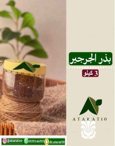 3 kilograms of arugula seeds _ arugula seeds