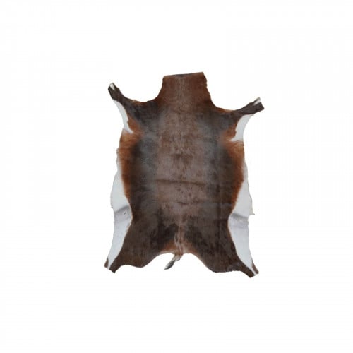 جلد البلس باك