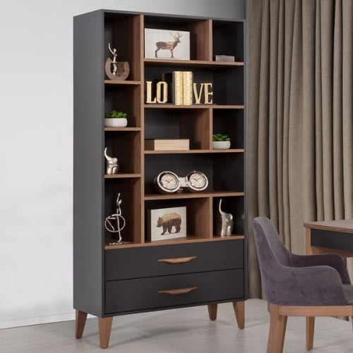 فترين و دولاب متعدد الاستخدام