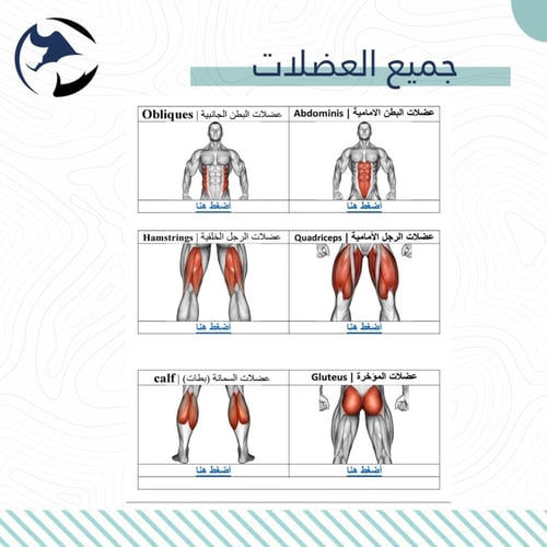 الطريقة الصحيحة لأداء التمارين