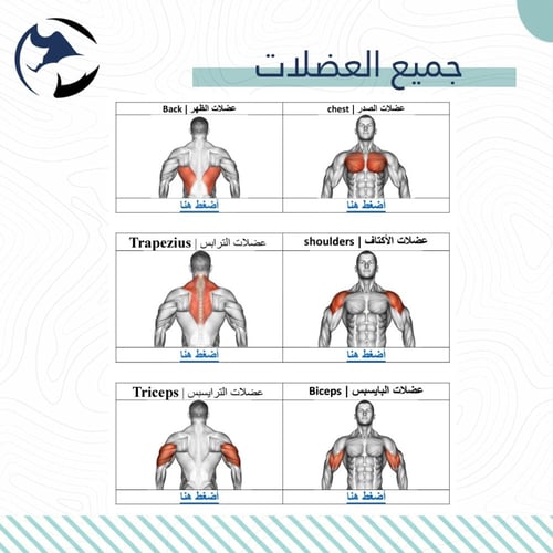 الطريقة الصحيحة لأداء التمارين