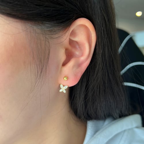 حلق الفراشة الملكية من احجار الـCZ و الفضة المطلية...