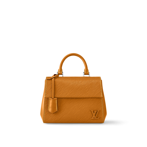 Louis Vuitton Cluny Mini 20cm