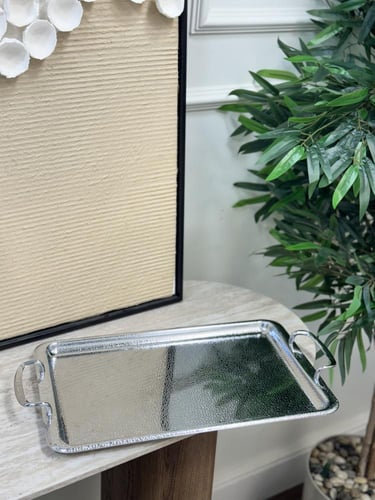 صينية تقديم فضي