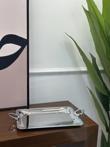 صينية تقديم فضي