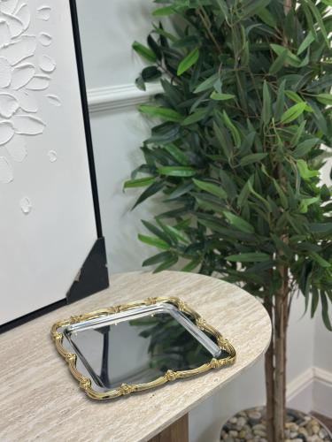 صينية تقديم استيل