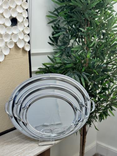 صينية تقديم فضي