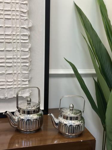 ابريق استيل فضي