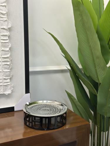 صحن تقديم استيل