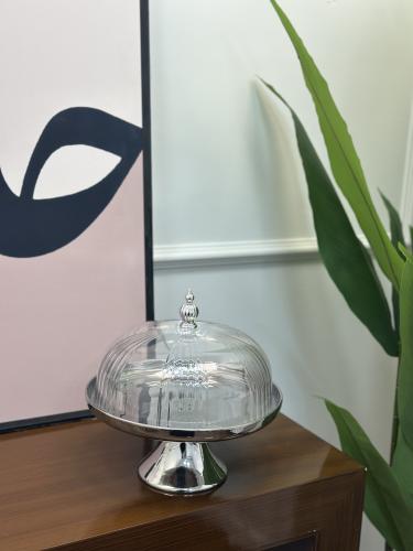 استاند تقديم فضي