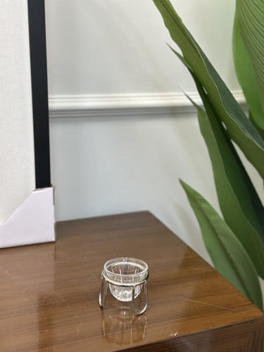 استاند فنجال فضي