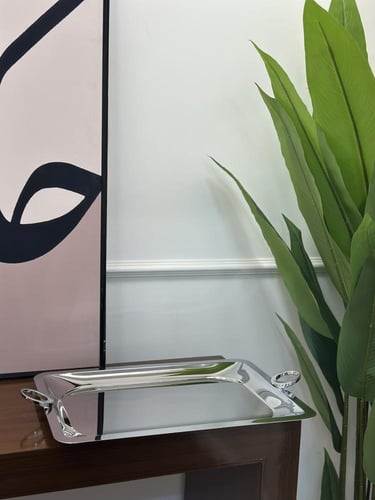 صينية تقديم فضي