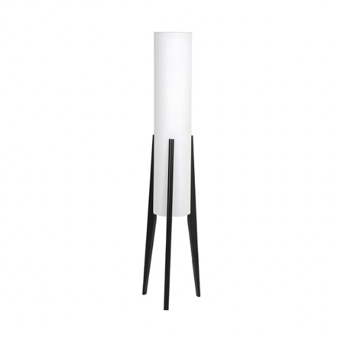 Modern floor lamp with a black matte tripod stand...