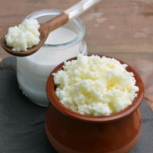 الفطر الهندي ( حبوب الكيفر )