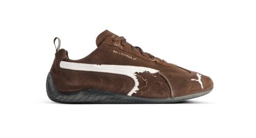 Speedcat Suede Balenciaga in Brown/white/black