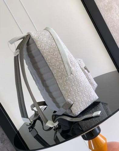 Backpack -Dior