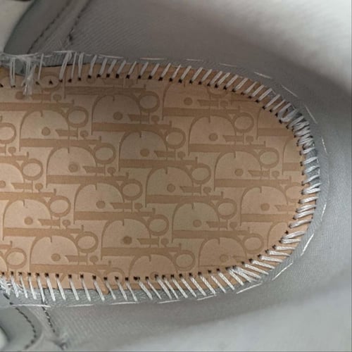 Air Jordan 1 high × Dior