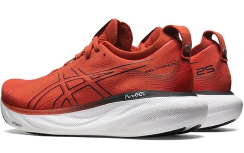 ASICS GEL-NIMBUS 25