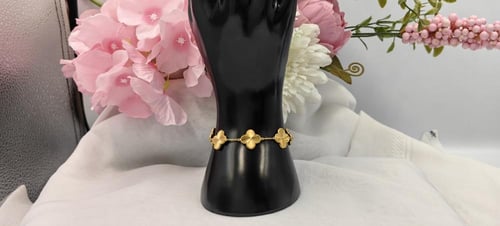 اسوارة فانكليف عيار21