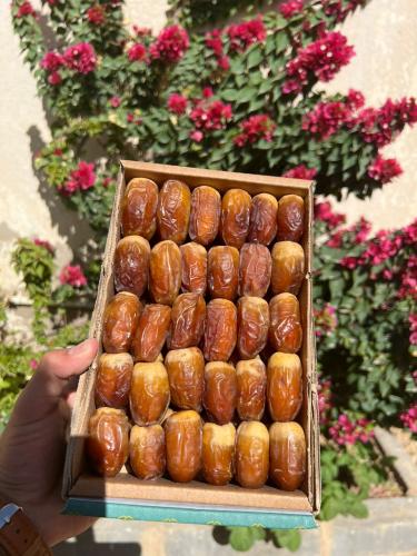 1كيلو تمر صقعي درجه