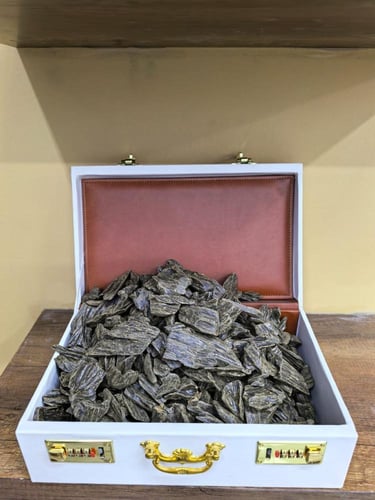 عود النادر المحسن
