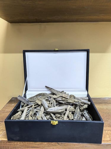 العود الفيتنامي الطبيعي المحسن تحسين فاخر