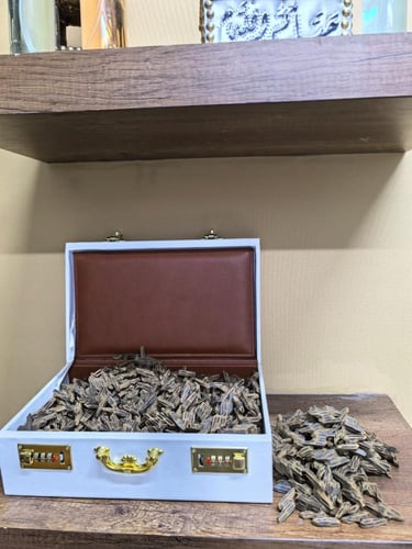 تايقر فيتنامي شهير