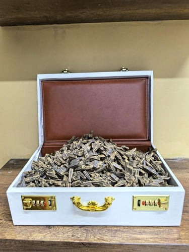 تايقر فيتنامي شهير