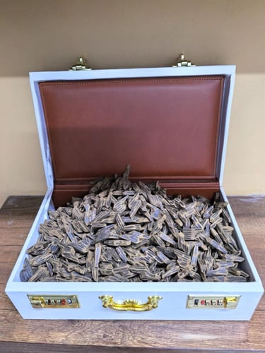 تايقر فيتنامي شهير