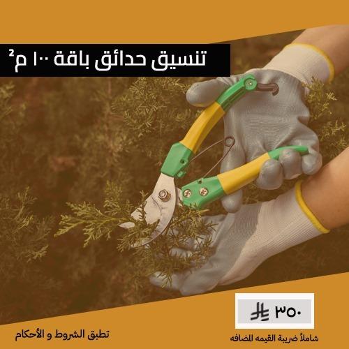 تنسيق حدائق باقة 100 م²