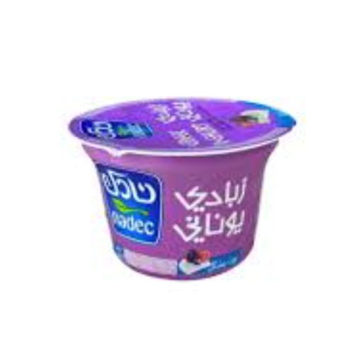 نادك زبادي يوناني توت مشكل 160 جم