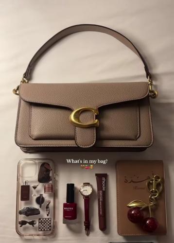 شنطة كوتش مع الكرز