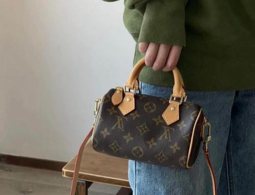 شنط لويس فيتون