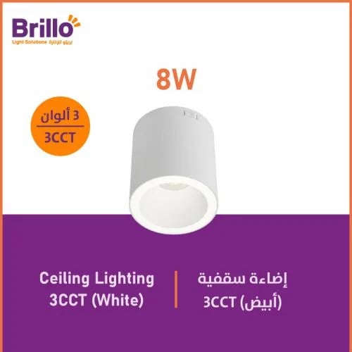Exterior ceiling lighting white (3CCT) - 8 watts