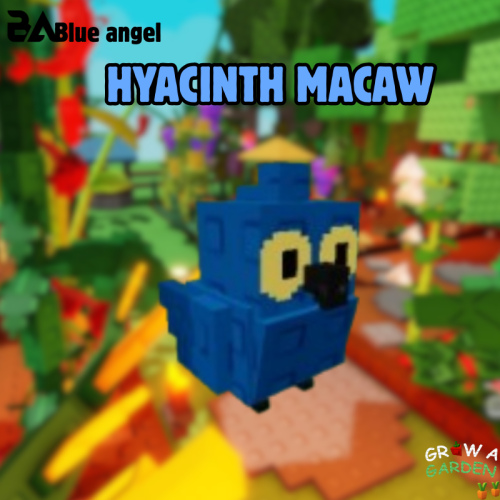 ببغاء ازرق ماب المزرعة | Hyacinth Macaw grow a gar...