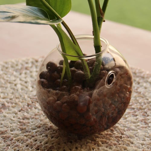 بوتس جدارية