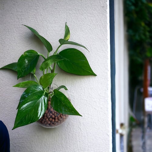 بوتس جدارية كبير