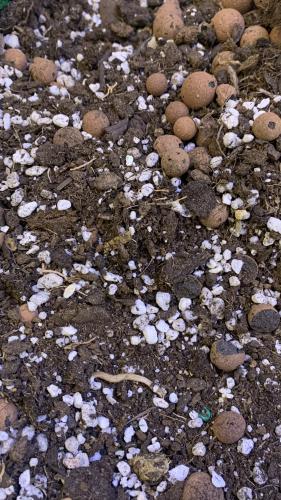 تربة زراعية