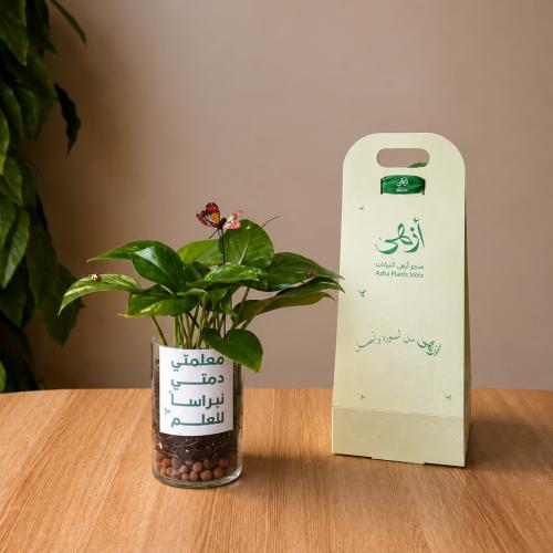 بوتس يوم المعلم