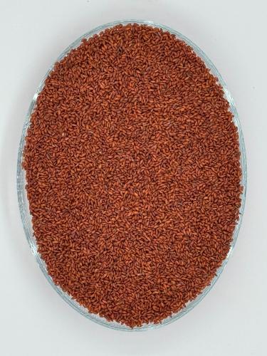 Hab Ershad/Halim - Garden Cress Seeds