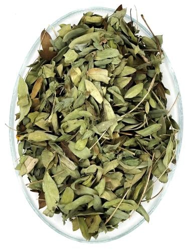 Sana Makki - Senna Leaves