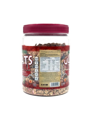 Hanaa Oats Granola 400g