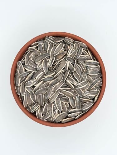 Sunflower Seeds