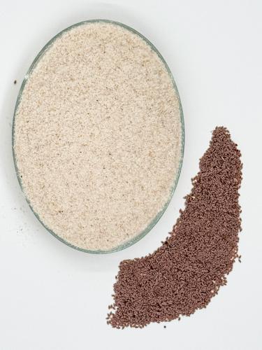 Ispaghol Chilka - Psyllium Husk