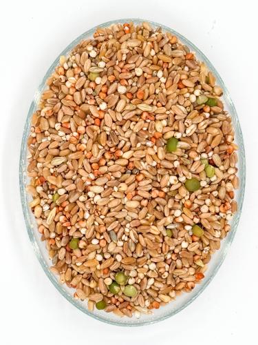 Mixed Dana - Kabootar Feed