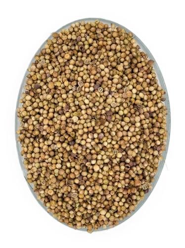 Dhania - Coriander Whole