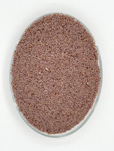 Ispaghol Whole - Psyllium Husk