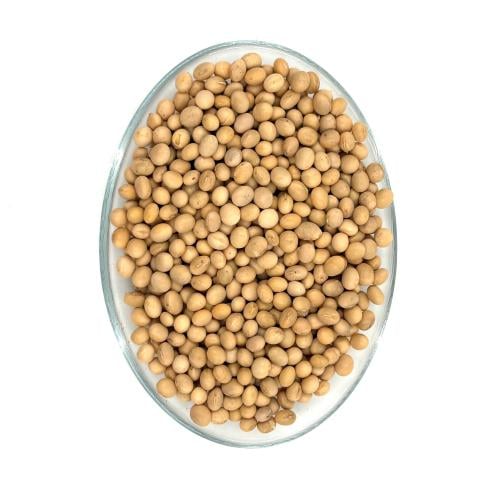Soya Beans