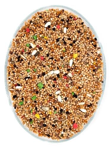 Irani Bajra - Bird Food