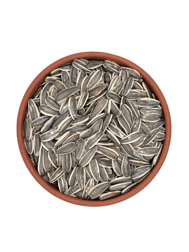 Sunflower Seeds